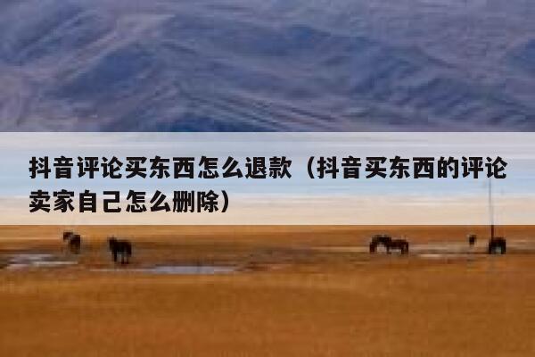 抖音评论买东西怎么退款（抖音买东西的评论卖家自己怎么删除） 第1张