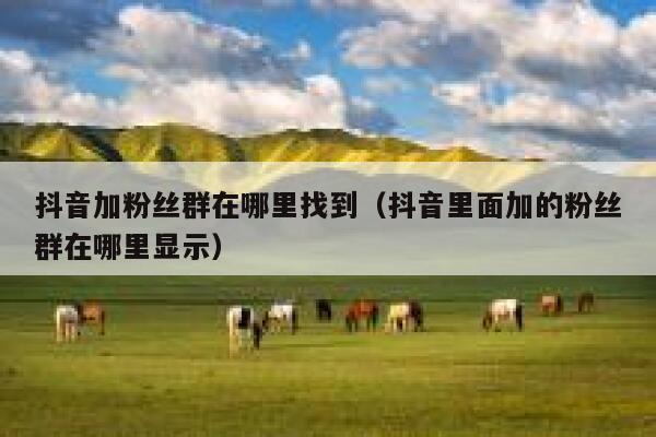 抖音加粉丝群在哪里找到(抖音里面加的粉丝群在哪里显示) 第1张 抖音加粉丝群在哪里找到(抖音里面加的粉丝群在哪里显示) 第1张