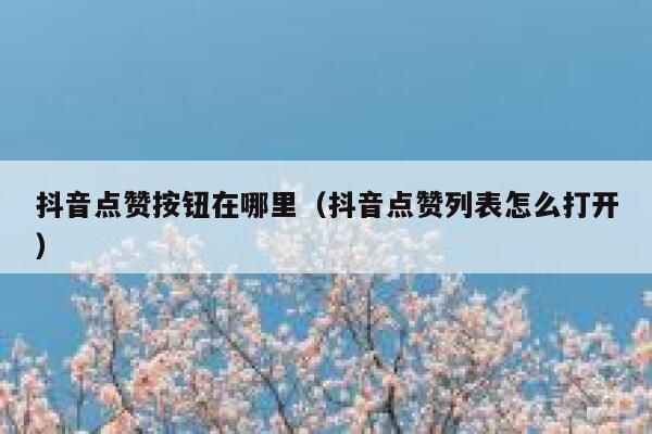 抖音点赞按钮在哪里(抖音点赞列表怎么打开) 第1张 抖音点赞按钮在哪里(抖音点赞列表怎么打开) 第1张
