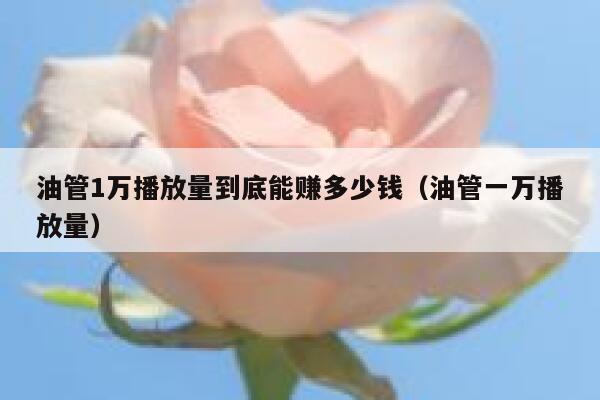 油管1万播放量到底能赚多少钱（油管一万播放量） 第1张