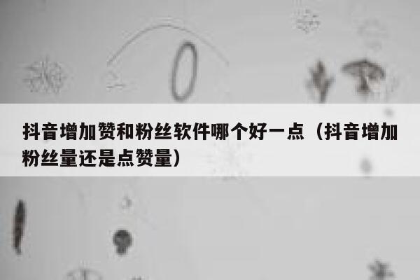 抖音增加赞和粉丝软件哪个好一点（抖音增加粉丝量还是点赞量） 第1张