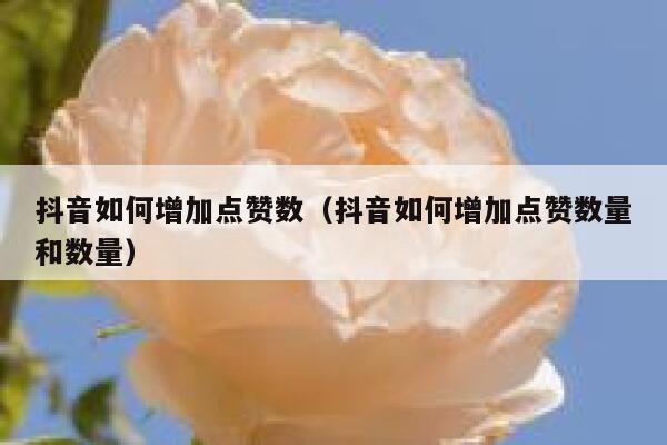 抖音如何增加点赞数（抖音如何增加点赞数量和数量） 第1张