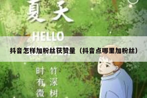 抖音怎样加粉丝获赞量（抖音点哪里加粉丝） 第1张