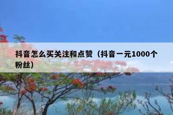 抖音怎么买关注和点赞（抖音一元1000个粉丝） 第1张