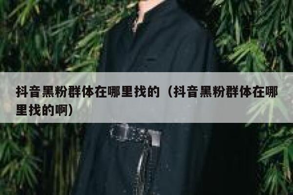 抖音黑粉群体在哪里找的（抖音黑粉群体在哪里找的啊） 第1张
