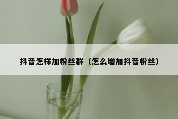 抖音怎样加粉丝群（怎么增加抖音粉丝） 第1张