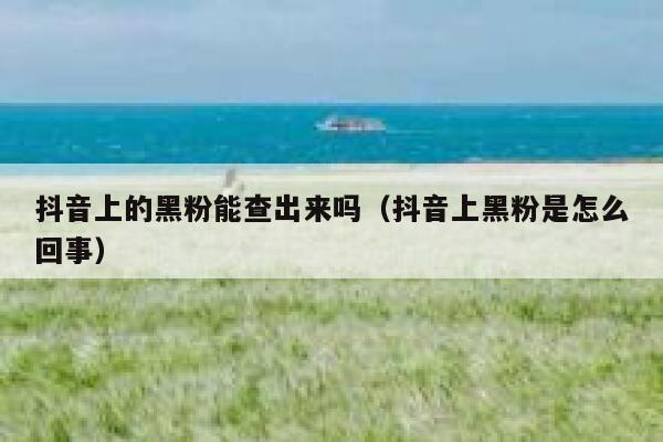 抖音上的黑粉能查出来吗（抖音上黑粉是怎么回事） 第1张