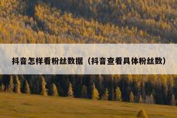 抖音怎样看粉丝数据(抖音查看具体粉丝数) 第1张 抖音怎样看粉丝数据(抖音查看具体粉丝数) 第1张