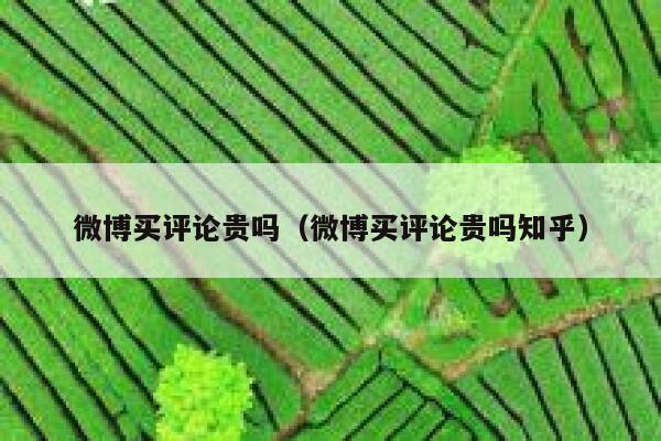 微博买评论贵吗(微博买评论贵吗知乎) 第1张 微博买评论贵吗(微博买评论贵吗知乎) 第1张