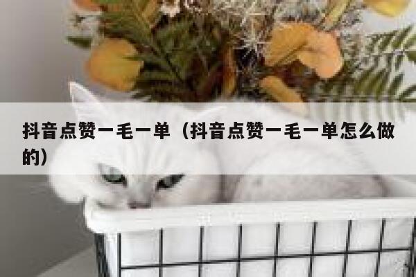 抖音点赞一毛一单（抖音点赞一毛一单怎么做的） 第1张