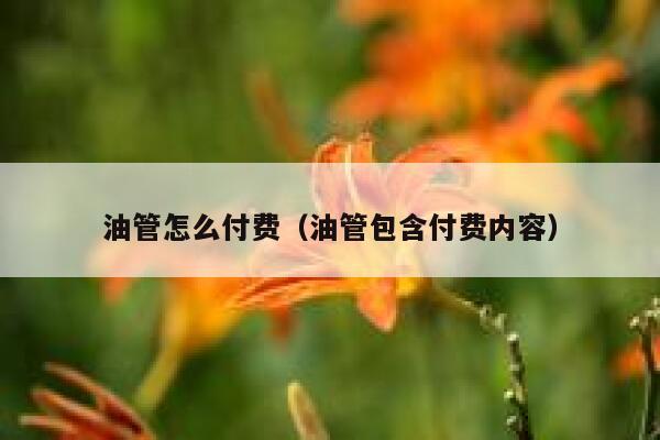 油管怎么付费(油管包含付费内容) 第1张 油管怎么付费(油管包含付费内容) 第1张