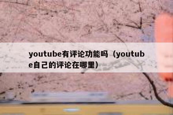 youtube有评论功能吗（youtube自己的评论在哪里） 第1张