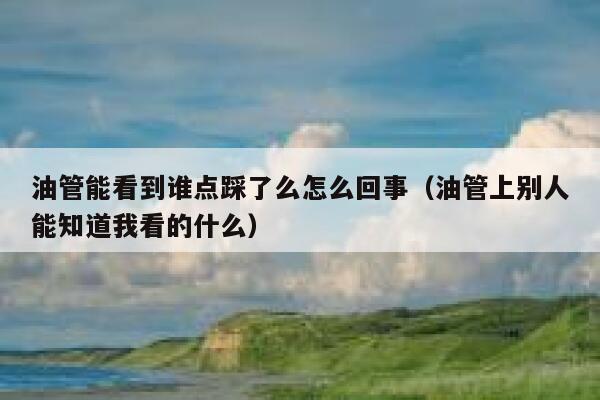 油管能看到谁点踩了么怎么回事(油管上别人能知道我看的什么) 第1张 油管能看到谁点踩了么怎么回事(油管上别人能知道我看的什么) 第1张