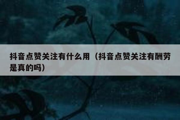 抖音点赞关注有什么用（抖音点赞关注有酬劳是真的吗） 第1张