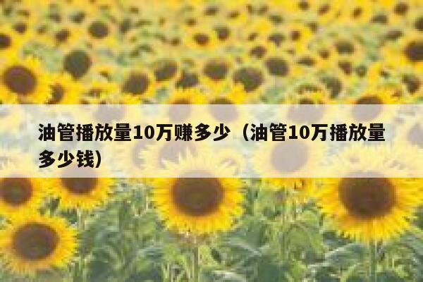 油管播放量10万赚多少（油管10万播放量多少钱） 第1张