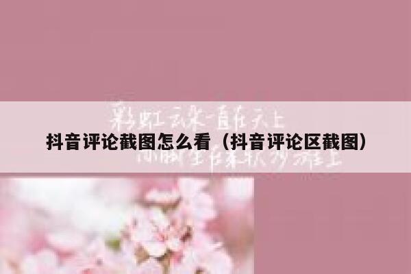 抖音评论截图怎么看（抖音评论区截图） 第1张