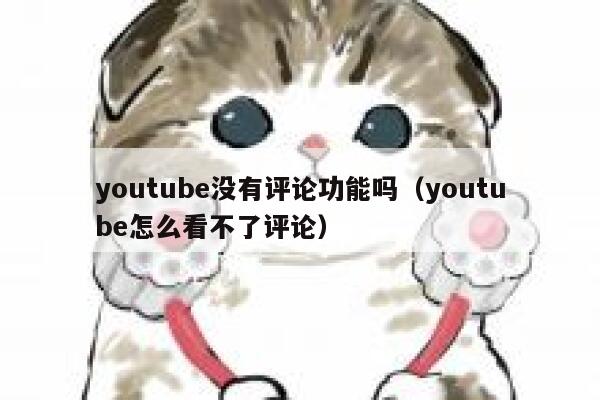 youtube没有评论功能吗（youtube怎么看不了评论） 第1张