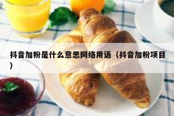 抖音加粉是什么意思网络用语（抖音加粉项目） 第1张