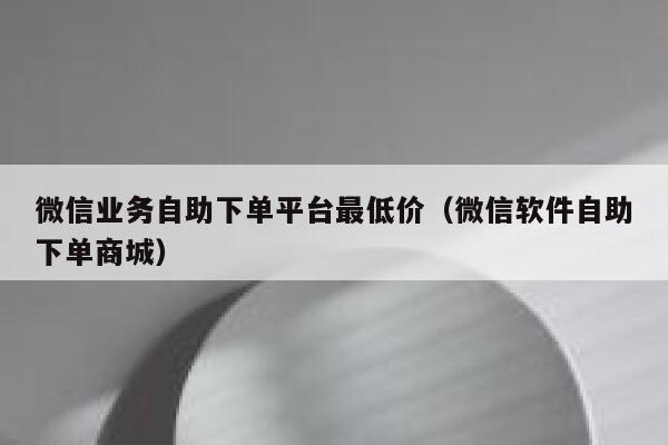 微信业务自助下单平台最低价（微信软件自助下单商城） 第1张