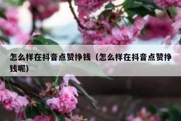 怎么样在抖音点赞挣钱（怎么样在抖音点赞挣钱呢） 第1张