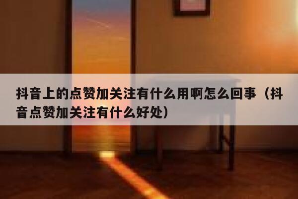 抖音上的点赞加关注有什么用啊怎么回事（抖音点赞加关注有什么好处） 第1张