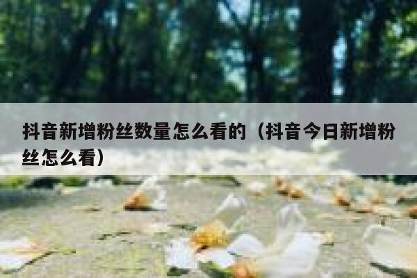 抖音新增粉丝数量怎么看的（抖音今日新增粉丝怎么看） 第1张