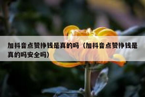 加抖音点赞挣钱是真的吗(加抖音点赞挣钱是真的吗安全吗) 第1张 加抖音点赞挣钱是真的吗(加抖音点赞挣钱是真的吗安全吗) 第1张
