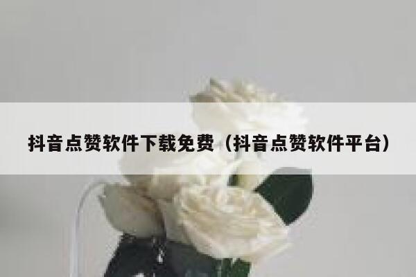 抖音点赞软件下载免费（抖音点赞软件平台） 第1张