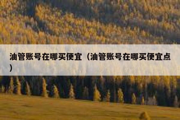 油管账号在哪买便宜(油管账号在哪买便宜点) 第1张 油管账号在哪买便宜(油管账号在哪买便宜点) 第1张