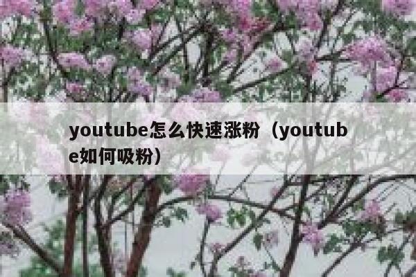 youtube怎么快速涨粉(youtube如何吸粉) 第1张 youtube怎么快速涨粉(youtube如何吸粉) 第1张