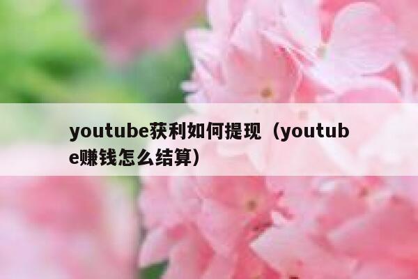 youtube获利如何提现(youtube赚钱怎么结算) 第1张 youtube获利如何提现(youtube赚钱怎么结算) 第1张