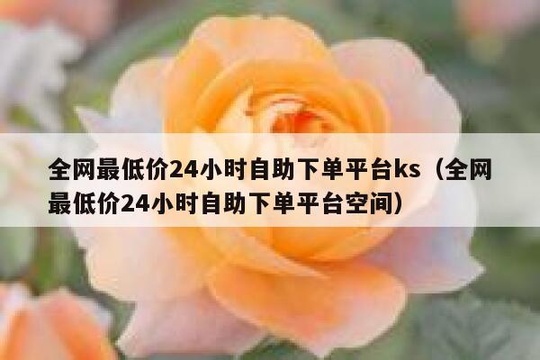 全网最低价24小时自助下单平台ks(全网最低价24小时自助下单平台空间) 第1张 全网最低价24小时自助下单平台ks(全网最低价24小时自助下单平台空间) 第1张