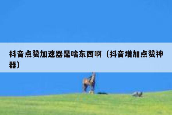 抖音点赞加速器是啥东西啊(抖音增加点赞神器) 第1张 抖音点赞加速器是啥东西啊(抖音增加点赞神器) 第1张