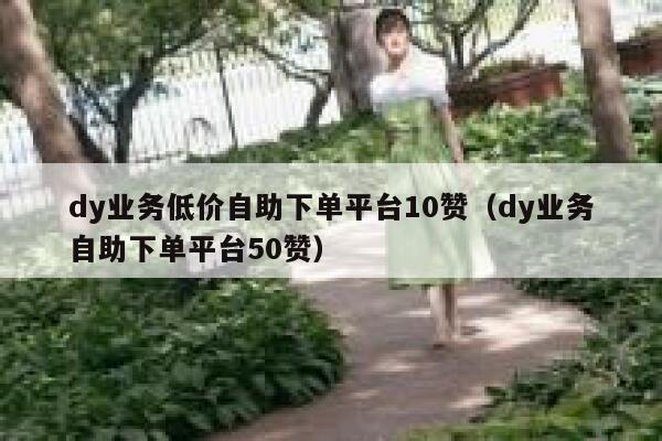 dy业务低价自助下单平台10赞（dy业务自助下单平台50赞） 第1张