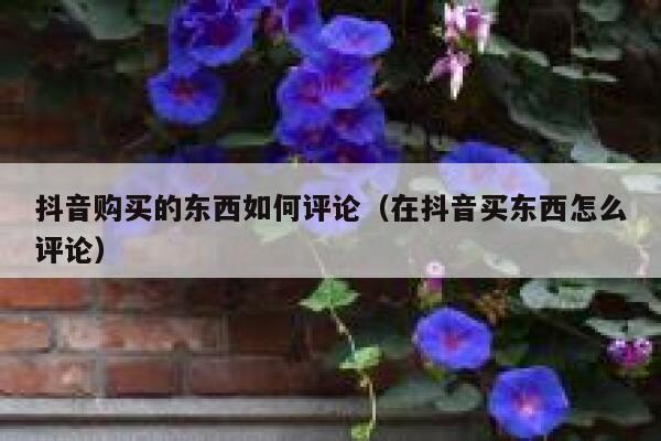 抖音购买的东西如何评论（在抖音买东西怎么评论） 第1张