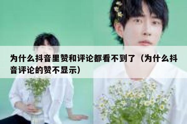 为什么抖音里赞和评论都看不到了（为什么抖音评论的赞不显示） 第1张