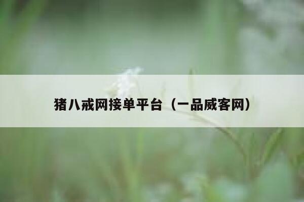 猪八戒网接单平台（一品威客网） 第1张
