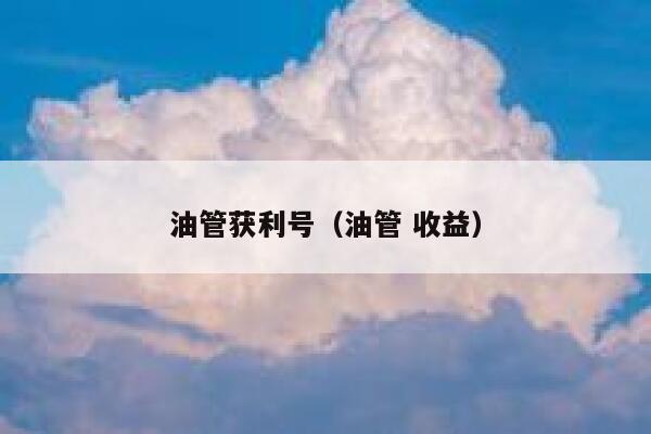 油管获利号（油管 收益） 第1张