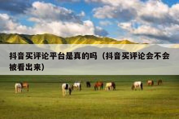 抖音买评论平台是真的吗（抖音买评论会不会被看出来） 第1张