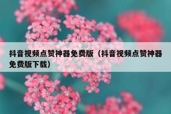抖音视频点赞神器免费版(抖音视频点赞神器免费版下载) 第1张 抖音视频点赞神器免费版(抖音视频点赞神器免费版下载) 第1张