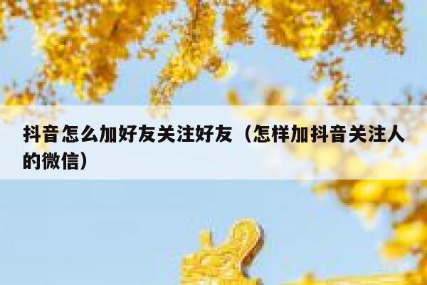 抖音怎么加好友关注好友（怎样加抖音关注人的微信） 第1张