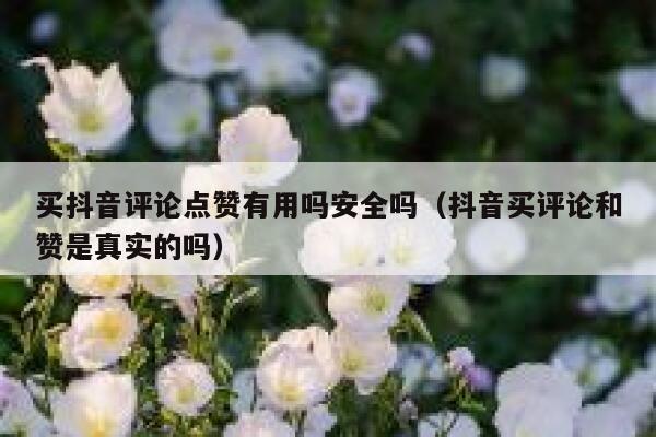 买抖音评论点赞有用吗安全吗（抖音买评论和赞是真实的吗） 第1张