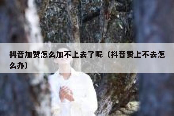 抖音加赞怎么加不上去了呢（抖音赞上不去怎么办） 第1张