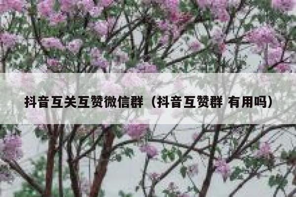 抖音互关互赞微信群(抖音互赞群 有用吗) 第1张 抖音互关互赞微信群(抖音互赞群 有用吗) 第1张