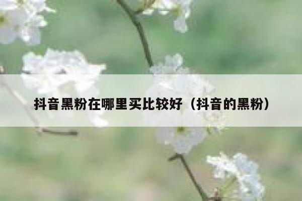 抖音黑粉在哪里买比较好（抖音的黑粉） 第1张