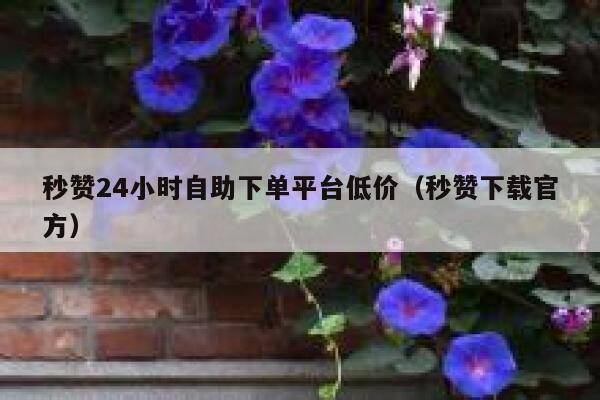 秒赞24小时自助下单平台低价(秒赞下载官方) 第1张 秒赞24小时自助下单平台低价(秒赞下载官方) 第1张