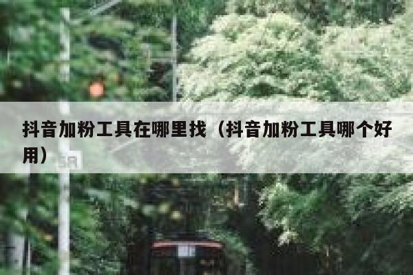 抖音加粉工具在哪里找(抖音加粉工具哪个好用) 第1张 抖音加粉工具在哪里找(抖音加粉工具哪个好用) 第1张