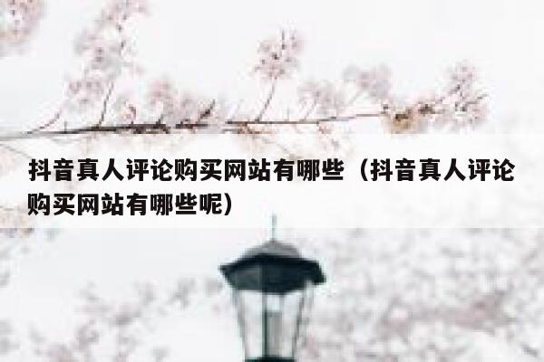 抖音真人评论购买网站有哪些（抖音真人评论购买网站有哪些呢） 第1张