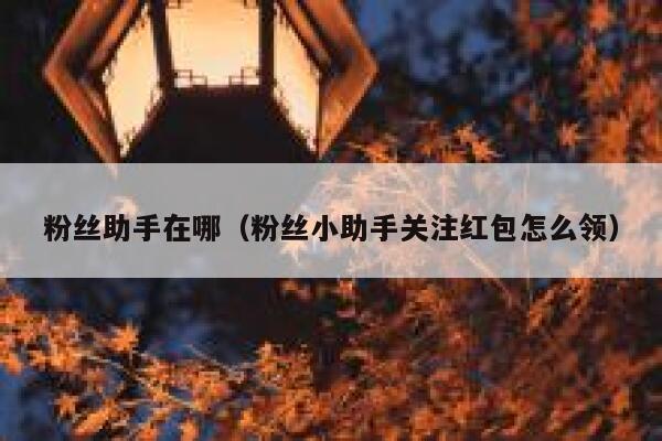 粉丝助手在哪（粉丝小助手关注红包怎么领） 第1张