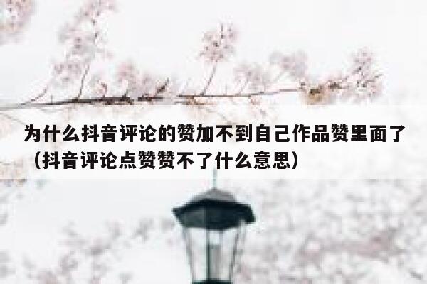 为什么抖音评论的赞加不到自己作品赞里面了（抖音评论点赞赞不了什么意思） 第1张